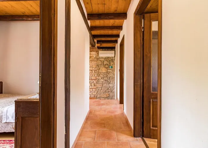 Antique Istrian Martina Holiday home Porec